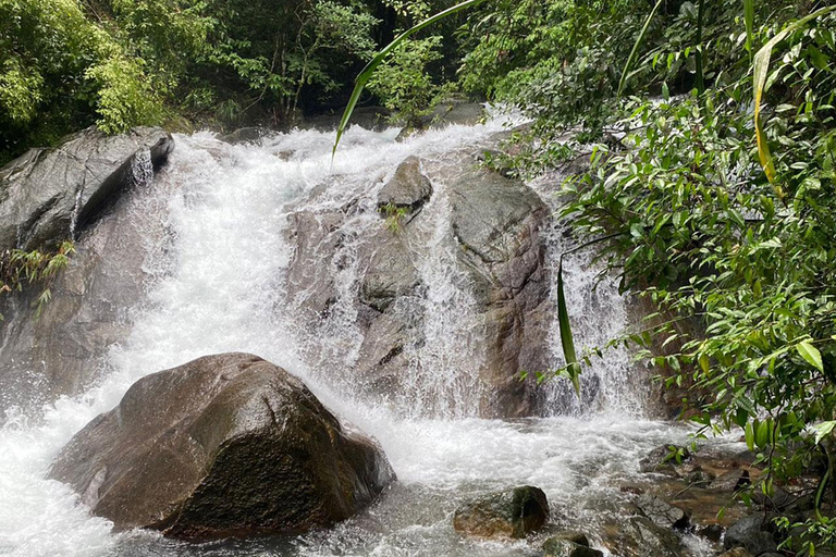 Phuket: rafting em bambu, caverna dos macacos e opção de quadricicloRafting em bambu sem opção de quadriciclo