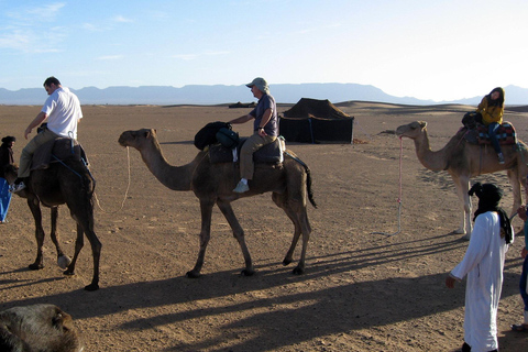 Agadi: Excursión de un día al desierto del Sahara con almuerzo