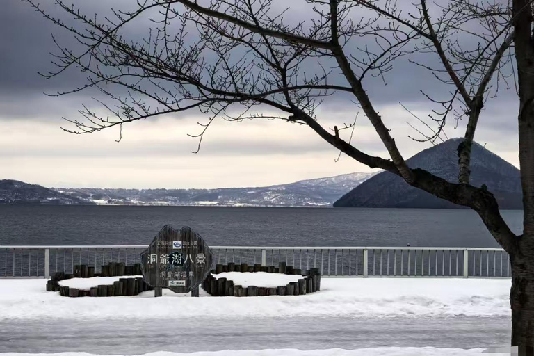 Sapporo: 4-Day Hakodate, Lake Toya, & Noboribetsu Tour