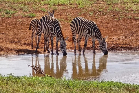 Tsavo East National Park Day Trip with Lunch
