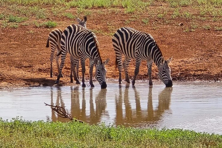 Tsavo East National Park Day Trip with Lunch
