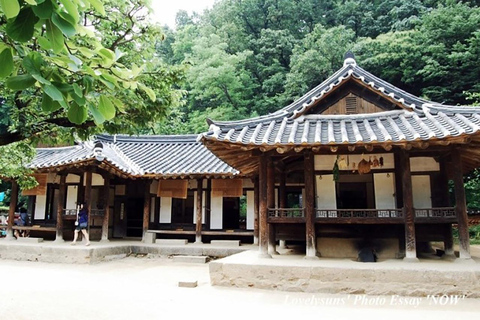 ¡De Seúl a la aldea Hanok de Jeonju y vuelta en un solo día!Excursión de un día a la Aldea Hanok de Jeonju