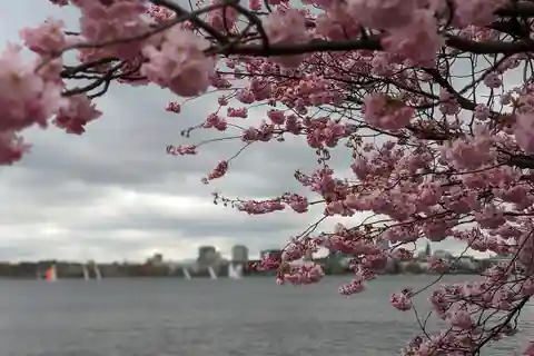 Hamburg Van Tour - Spring Special