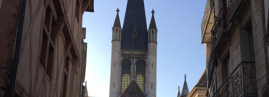 Dijon: Découverte de son histoire et dégustation de produits régionaux
