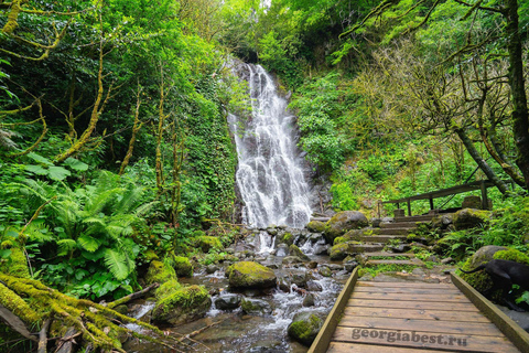 Batumi : circuit dans les montagnes d'Adjarie et festin géorgien traditionnelVisite privée de la région montagneuse d'Adjarie avec festin géorgien traditionnel