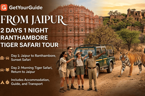 From Jaipur: 2-Day, 1-Night Ranthambore Tiger Safari Tour