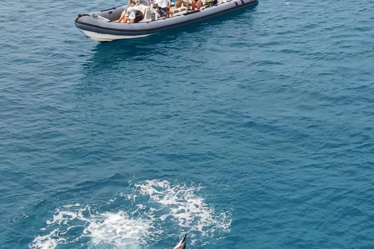 Waikiki : Visite en petit groupe du Turtle Canyon avec masque et tuba