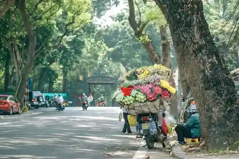 Explore Hanoi Half Day - Afternoon Tour