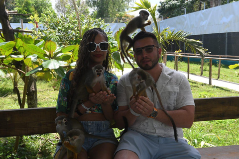 Puerto Plata: Exclusive Monkey Tour for Cruise Passengers