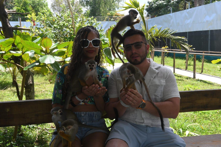 Puerto Plata: Exclusive Monkey Tour for Cruise Passengers