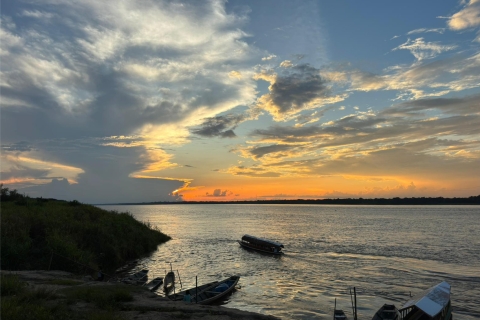Iquitos: Ayahuasca en het medicijngebruikIquitos: Ontdek de geneeskrachtige werking van medicinale planten