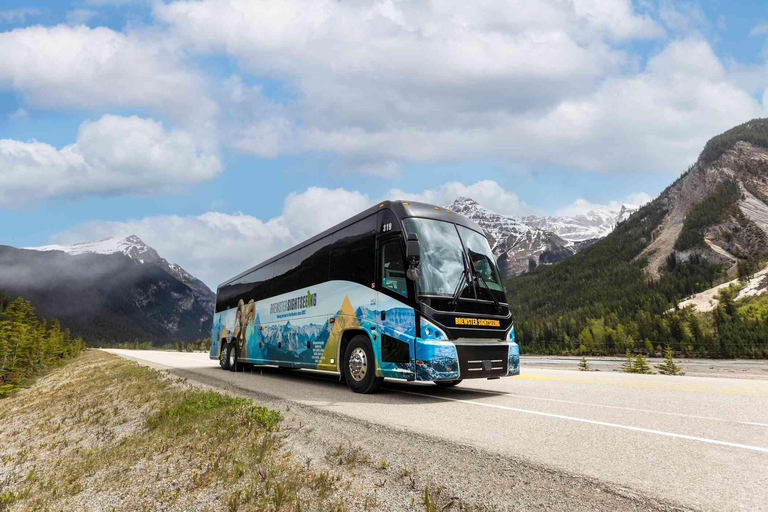 From Calgary: Bus Transfer to Banff One-Way Transfer from Calgary Downtown Hotels to Banff