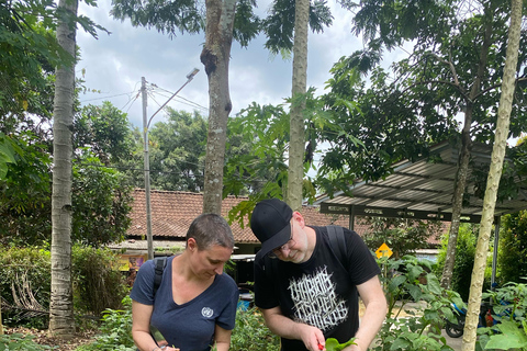 Yogyakarta: Borobudur Village Cycling Tour+Eco Cooking Class