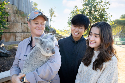 Blue Mountains Tour w/Lunch: Scenic World, Zoo & Koala Photo
