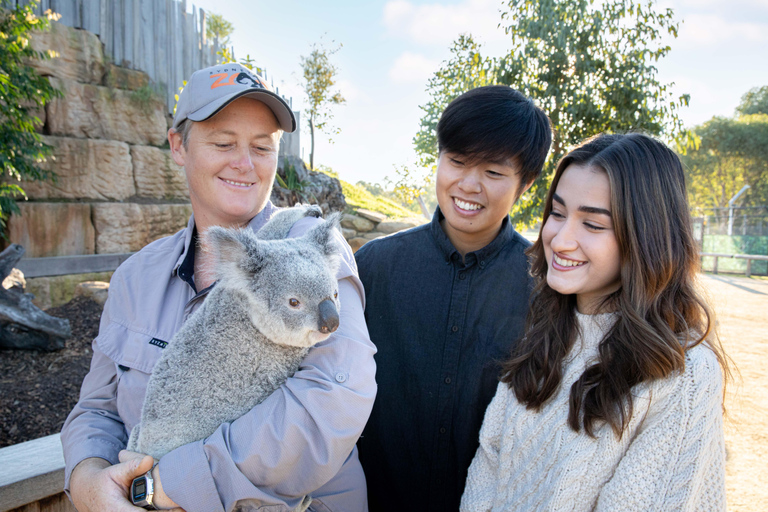 Blue Mountains Tour w/Lunch: Scenic World, Zoo & Koala Photo