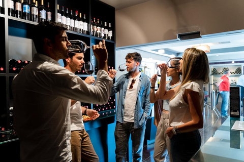 From Toledo: Guided Walking Tour, Winery Visit and Tasting Only Winery Visit - Spanish Guide