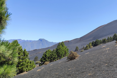 Tajogaite VIP Experience: Ruta Privada con Guía certificado y Dron