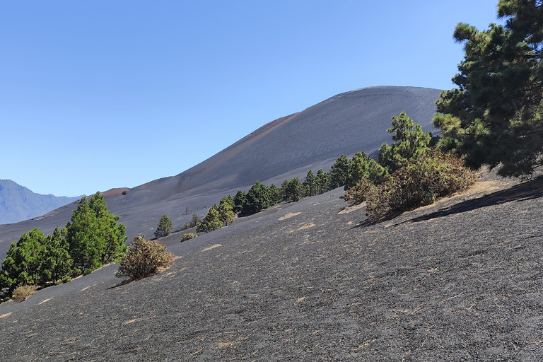 Tajogaite VIP Experience: Ruta Privada con Guía certificado y Dron