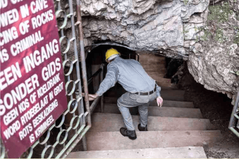 Johannesburg: Cradle Of Humankind & Fossil Discovery Tour
