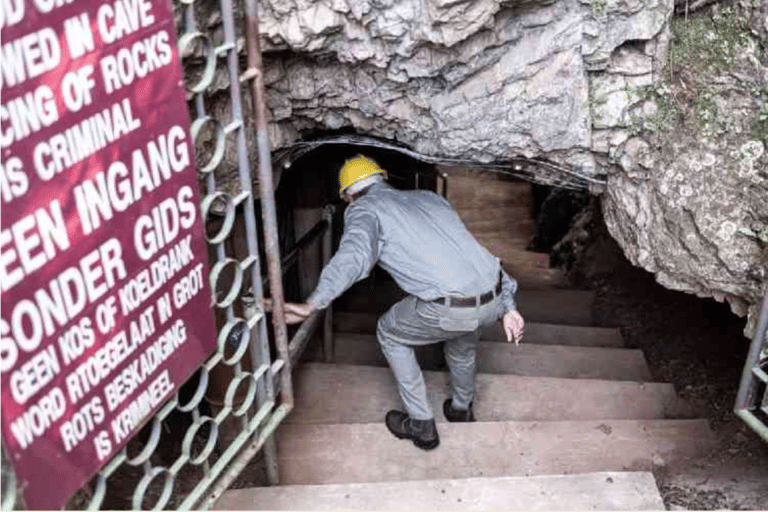 Johannesburg: Cradle Of Humankind & Fossil Discovery Tour