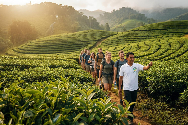 Jakarta: Bandung Volcano, Hot Springs & Wine Tasting Jakarta: Bandung Volcano, Hot Springs & Wine Day Shared Tour