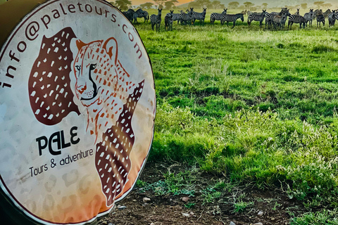 Arusha :Tarangire National Park Day Trip Arusha :Tarangire National Park Day Trip - join group safari