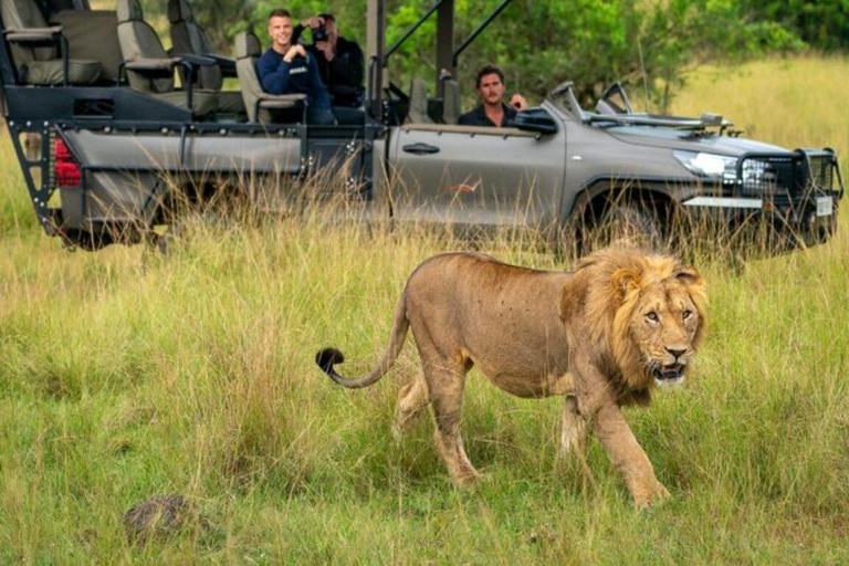 4-daagse luxe wildlife-avontuur in Rwanda4-daagse luxe safari in Rwanda