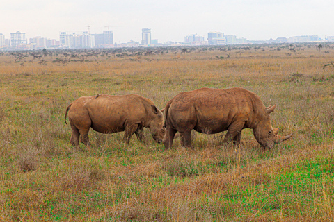 Nairobi National Park