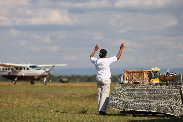 8-Day Luxury Flying Safari: Amboseli, Samburu and Masai Mara