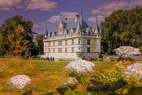 Castillo de Azay-le-Rideau: Tour privado guiado con ticket de entrada