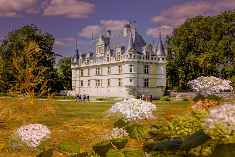 Château d&#039;Azay-le-Rideau : Visite guidée privée avec billet d&#039;entrée