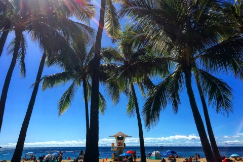 Honolulu: Pearl Harbor und Honolulu City TourPearl Harbor und Honolulu City Tour