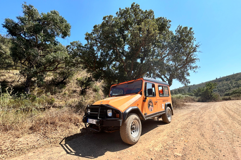 Lagos: Festa - UMM Safari-Beer-Tour na Costa Oeste