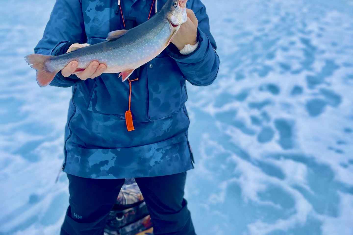 Sälen: Ice Fishing Experience cooking you catch