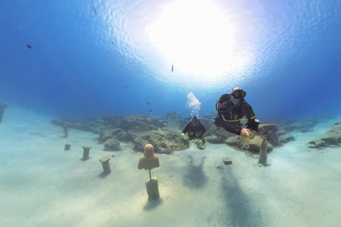 Scuba diving-private and individual– No certification needed