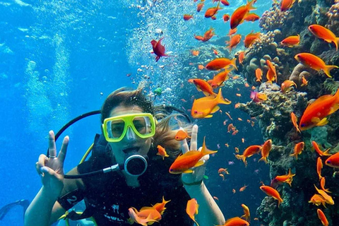 Marmaris: Guided Scuba Diving Experience with Hotel Transfer