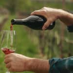 Visita guidata ai vigneti con degustazione a Merano - Dalla vite al bicchiere - IT