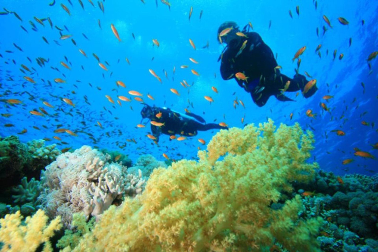 Hurghada: Intro Diving & Snorkeling Tour with Lunch & Drinks Hurghada: Introduction dive & Snorkeling Cruise with Lunch