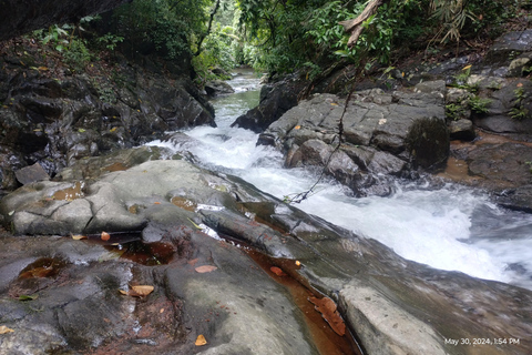 Colombo: Excursión de un día; jardines botánicos de la zona húmeda de Seethawaka