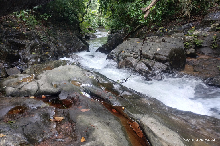 Colombo: Excursión de un día; jardines botánicos de la zona húmeda de Seethawaka