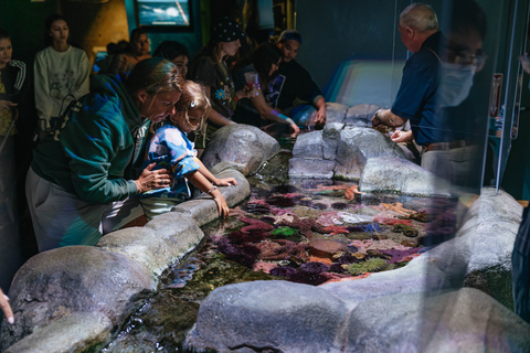 Los Angeles: Företrädesbiljett till Aquarium of the Pacific