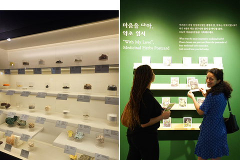 Seúl: clase de infusiones y tour de medicina coreana.Seúl: clase de té de hierbas y tour por la medicina coreana