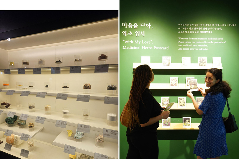 Seúl: clase de infusiones y tour de medicina coreana.Seúl: clase de té de hierbas y tour por la medicina coreana