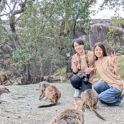 Cairns: Mareeba Wildlife and Coffee Tour