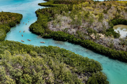 Ile d Ambre Kayakkayak en el Parque Nacional de Ile d Ambre