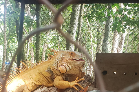 Chi so mountain _ Ta moa zoo_ Bati temple Tour
