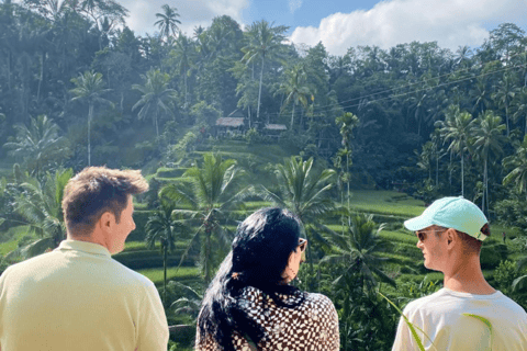 Bali: Ontdek UbudZonder entree tickets