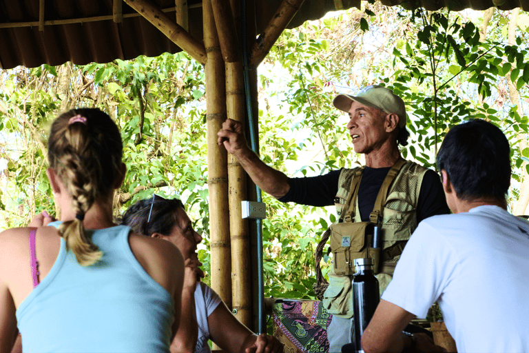 Minca: Canyoning & Rappel Tour with Jungle Joe