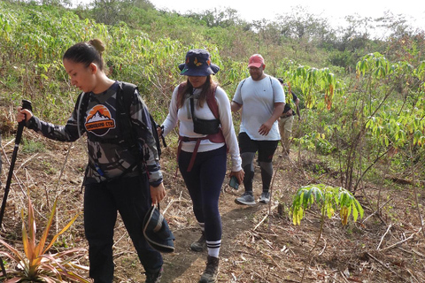 Monkey’s Creek: An Extreme Tropical Forest Hiking Adventure