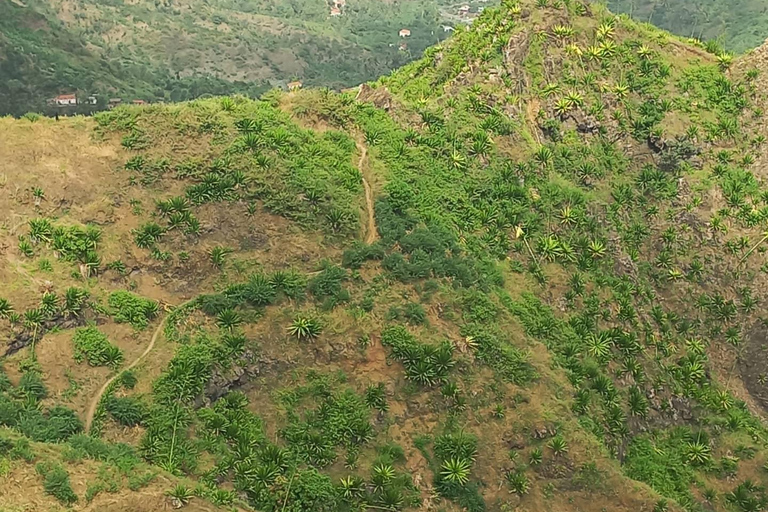 Hiking: From Serra Malagueta to Ribeira Principal